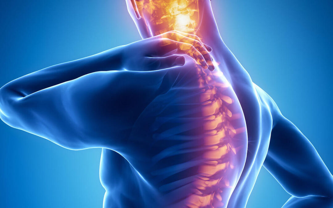 Physiotherapy and recovery